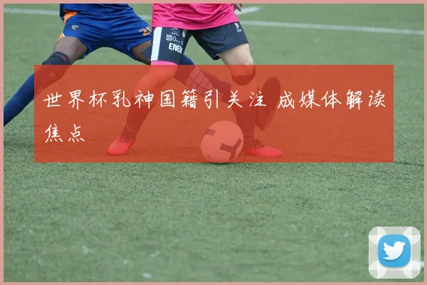 世界杯乳神国籍引关注 成媒体解读焦点