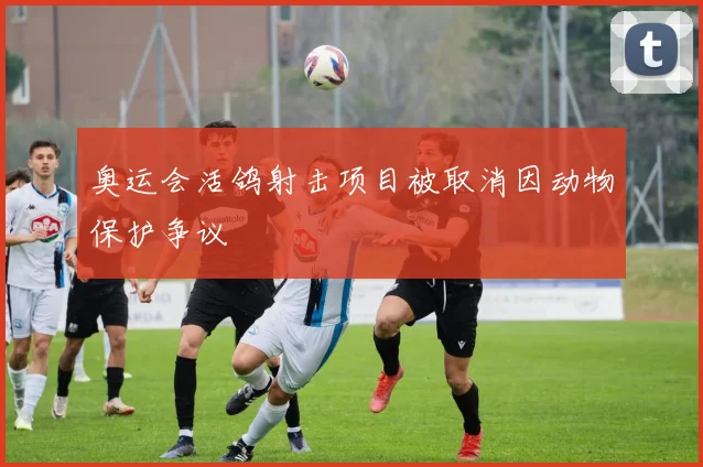 奥运会活鸽射击项目被取消因动物保护争议