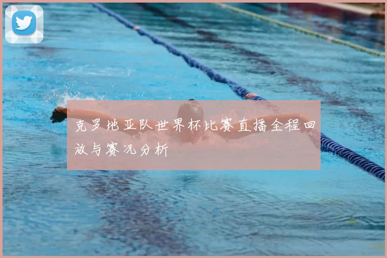 克罗地亚队世界杯比赛直播全程回放与赛况分析