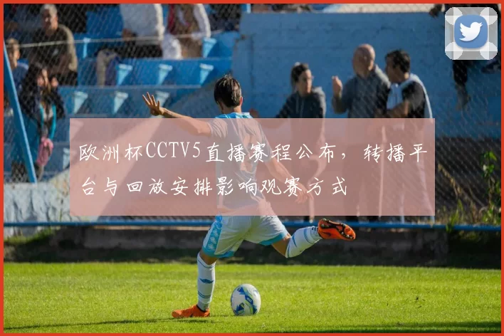 欧洲杯CCTV5直播赛程公布，转播平台与回放安排影响观赛方式